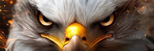 Panditjee_52's profile banner image