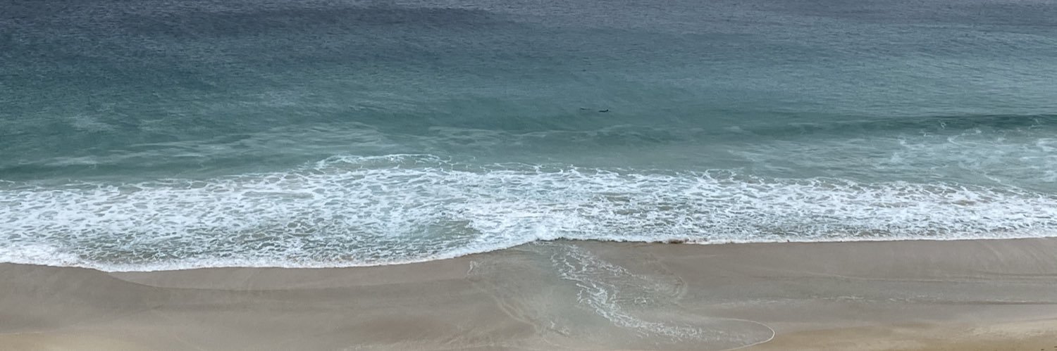 Alison Mitchell banner