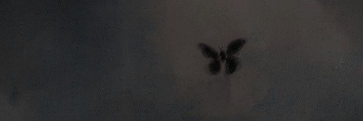 𝑬𝒍𝒊𝒛𝒂𝒃𝒆𝒕𝒉 banner