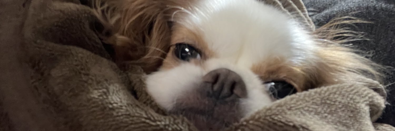ﾅﾂﾐ banner
