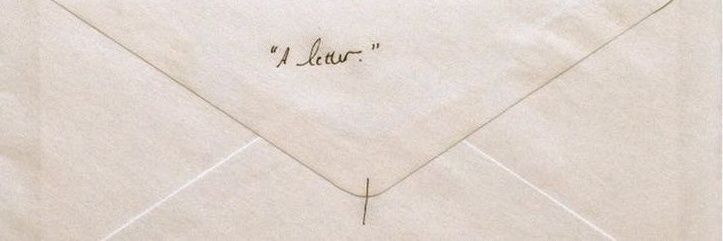 naw 🐾 banner