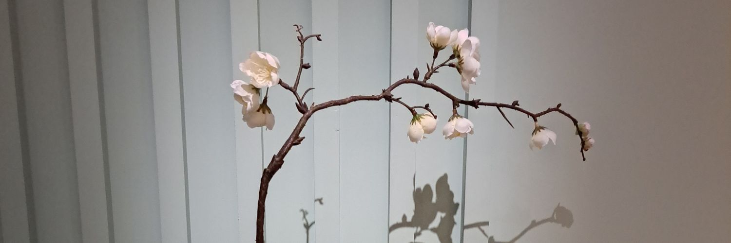 Van仔🇭🇰 banner