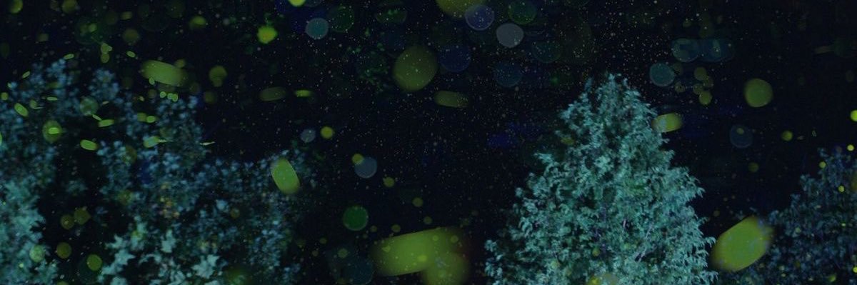 diva 🍉 banner