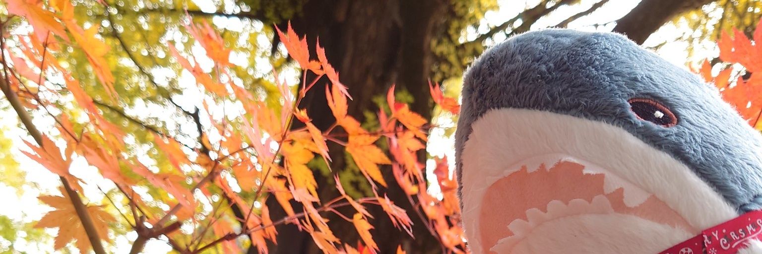 blahajmeme's profile banner image
