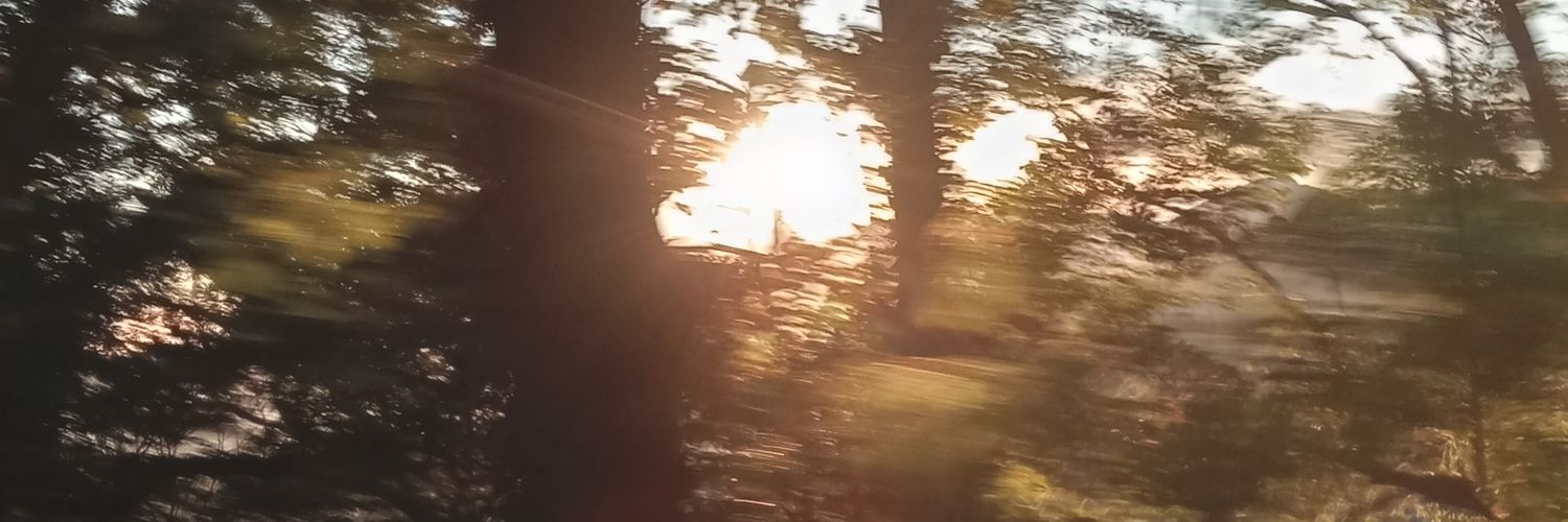 ophirec's profile banner image