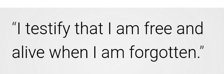 M @ V E r i c k banner