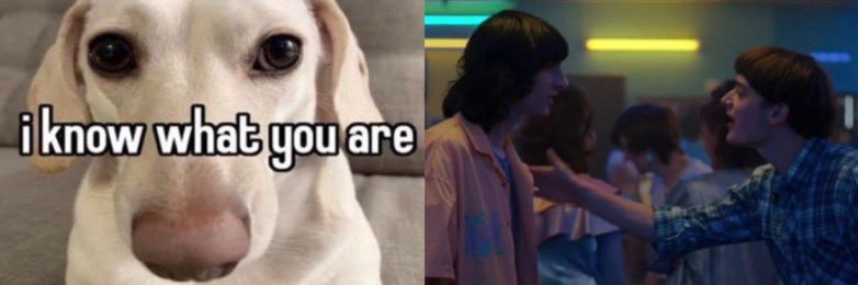 lesbian el hopper's banner