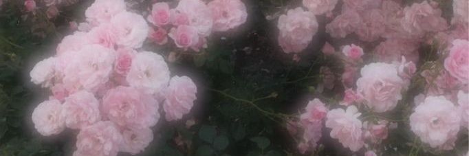 marie banner