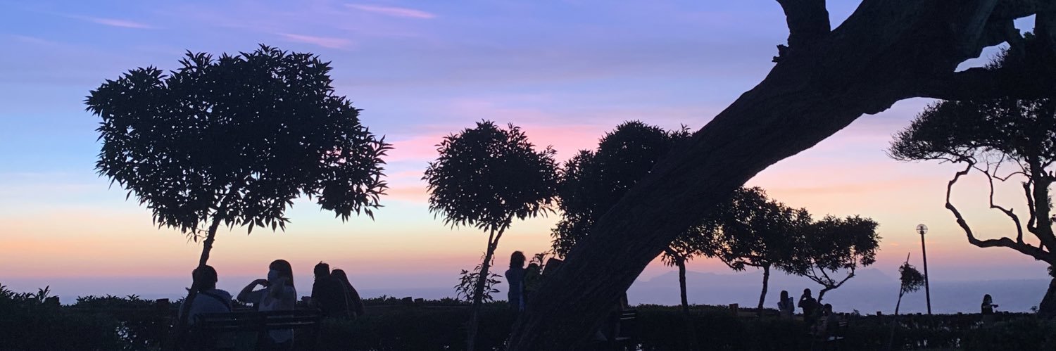 marsea__'s profile banner image