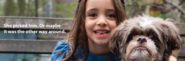 Bideawee Profile Banner