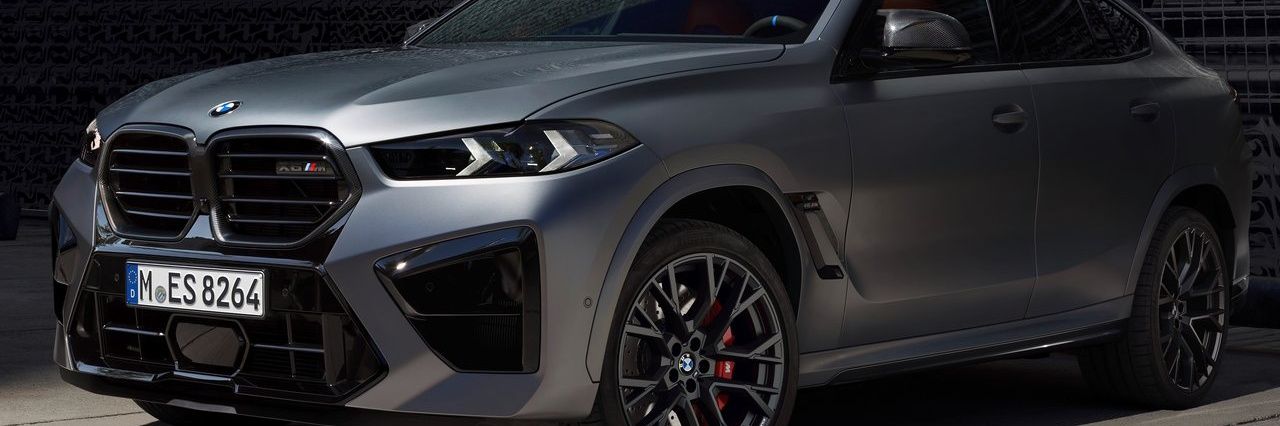 Ꮮinᴏ 𖡬 banner