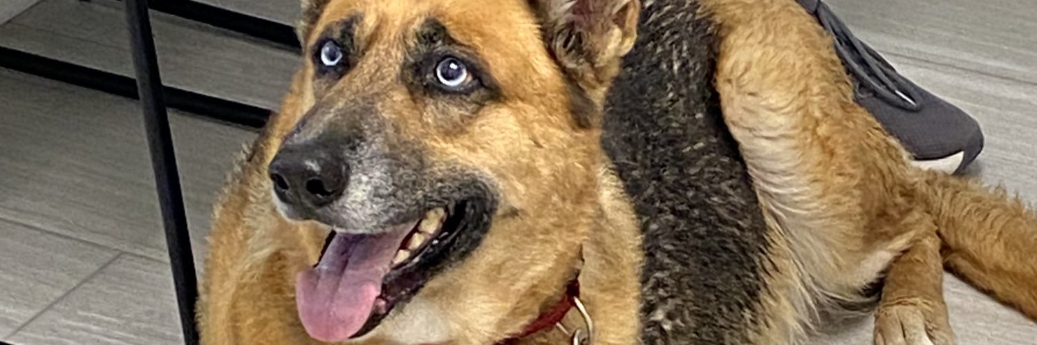 Tj banner