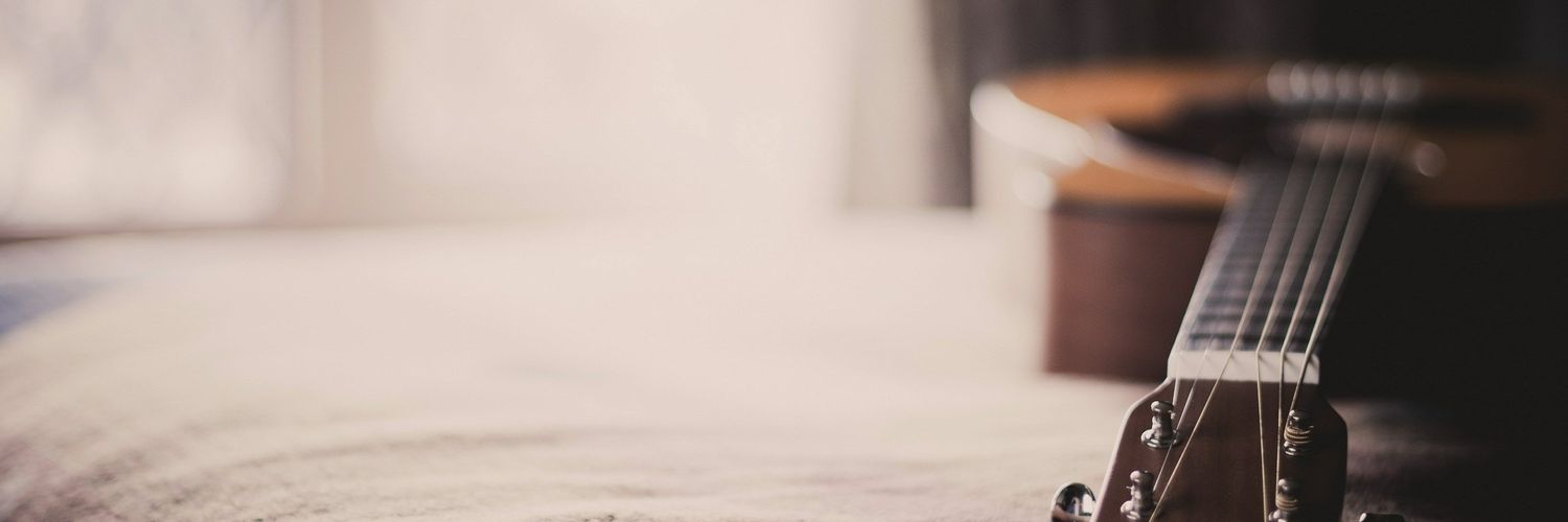 Herondducks's profile banner image