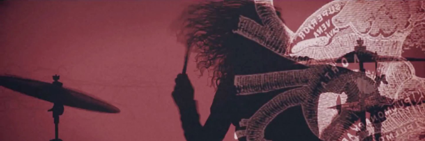 philofwolves's profile banner image