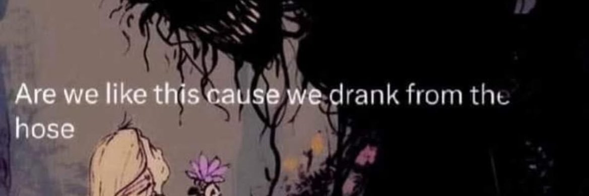 BorderlineBaby's profile banner image
