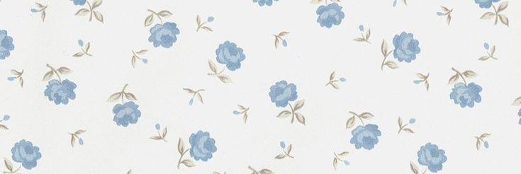 рия banner