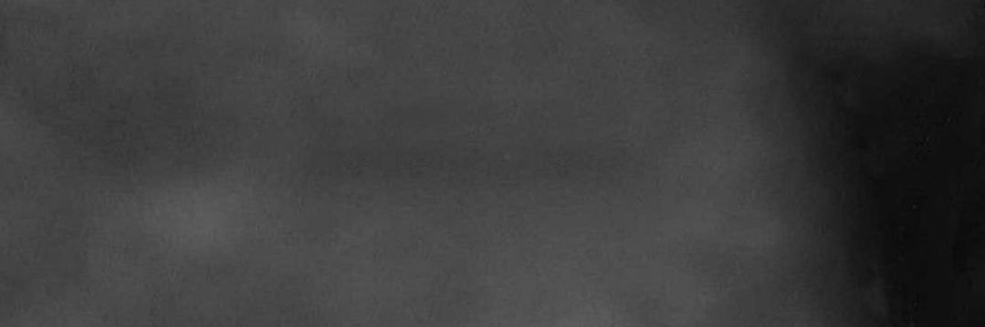 Tiger Ω banner