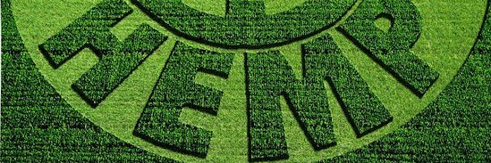 Time 4 Hemp banner