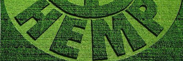 Time4Hemp Profile Banner