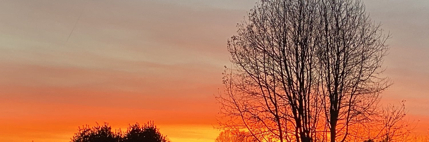belvasquez_'s profile banner image