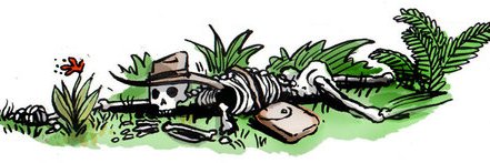 Steve Woodmansee banner