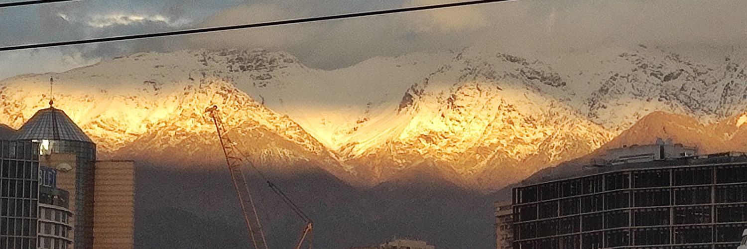 CRISTIAN PIZARRO banner