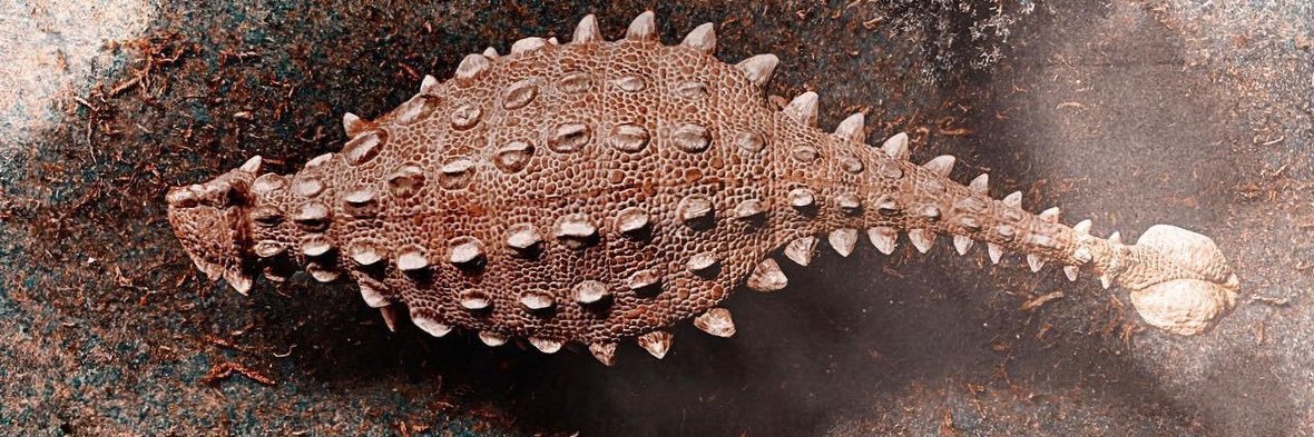 ankylosaurus banner