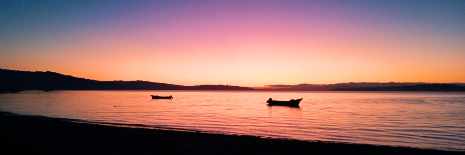 Andres el pez 🐠 banner