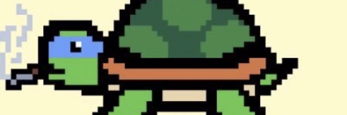 Nora 🐢 banner
