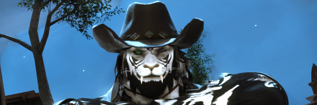 Hoss Catte banner