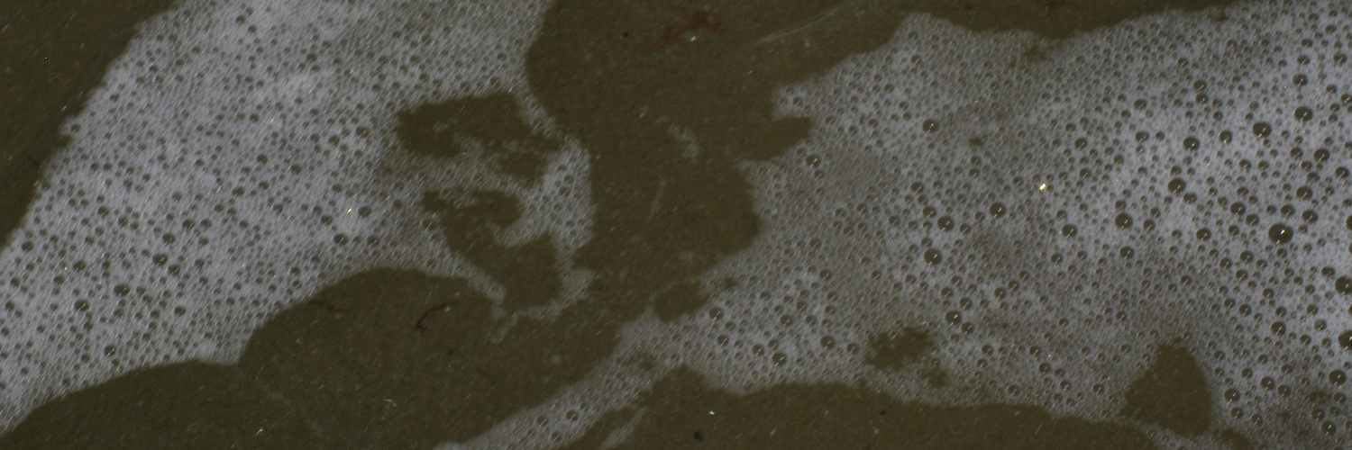 clara banner