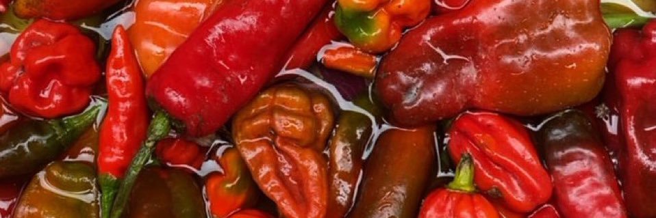 spicyishh's profile banner image