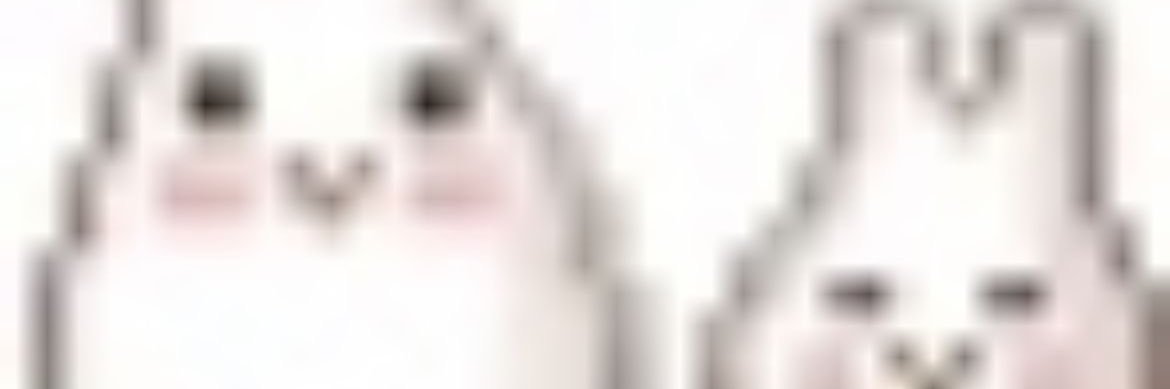 本科's banner