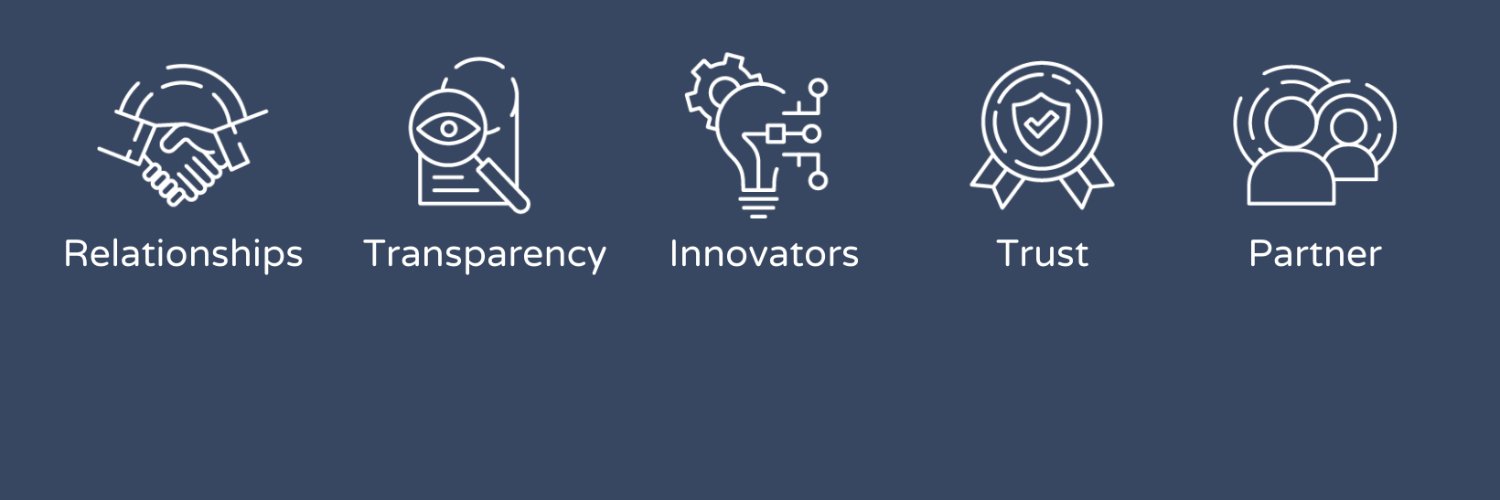 SafeNet Consulting banner