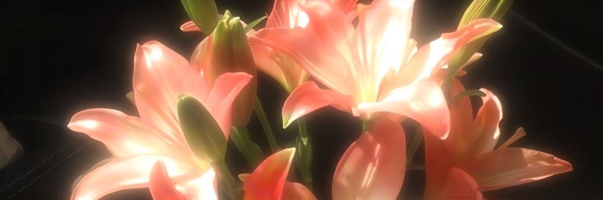liv banner