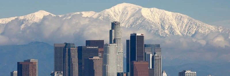 なおみ(Naomi)@ Flowers and wild life in Los Angeles banner