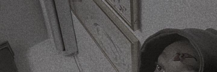 DD 🌍 banner
