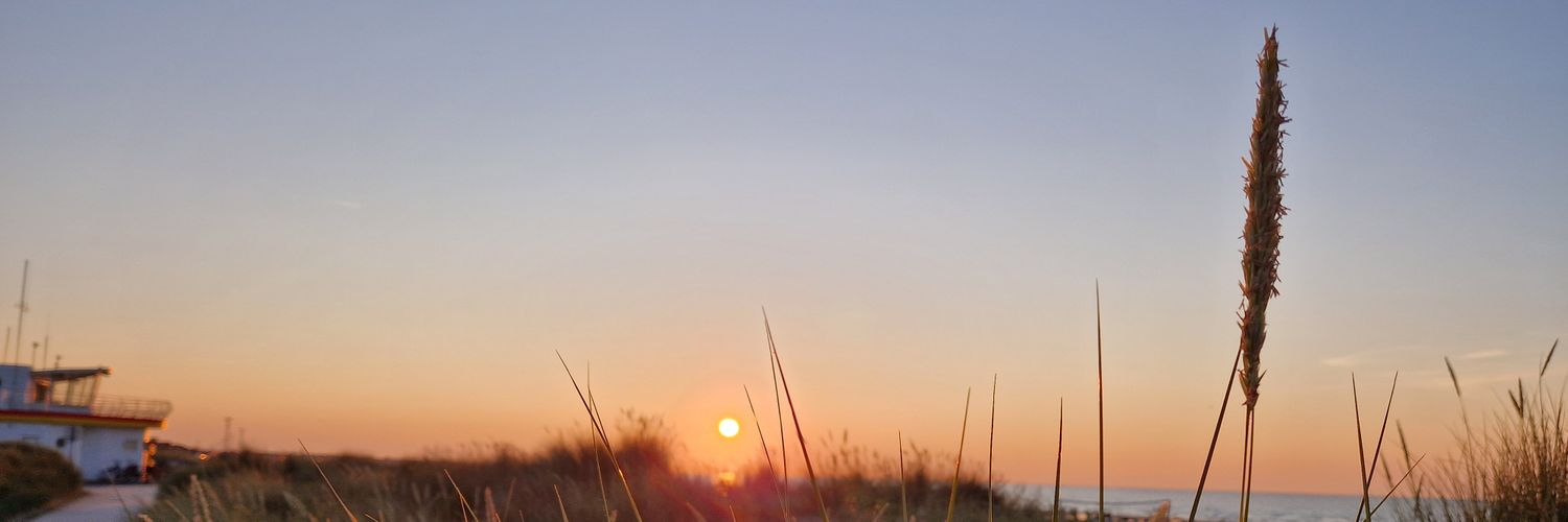 myrmex's profile banner image