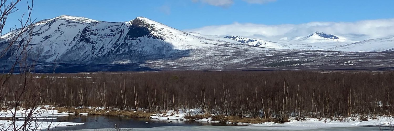 Asphalt Sámi ☭🚩 banner