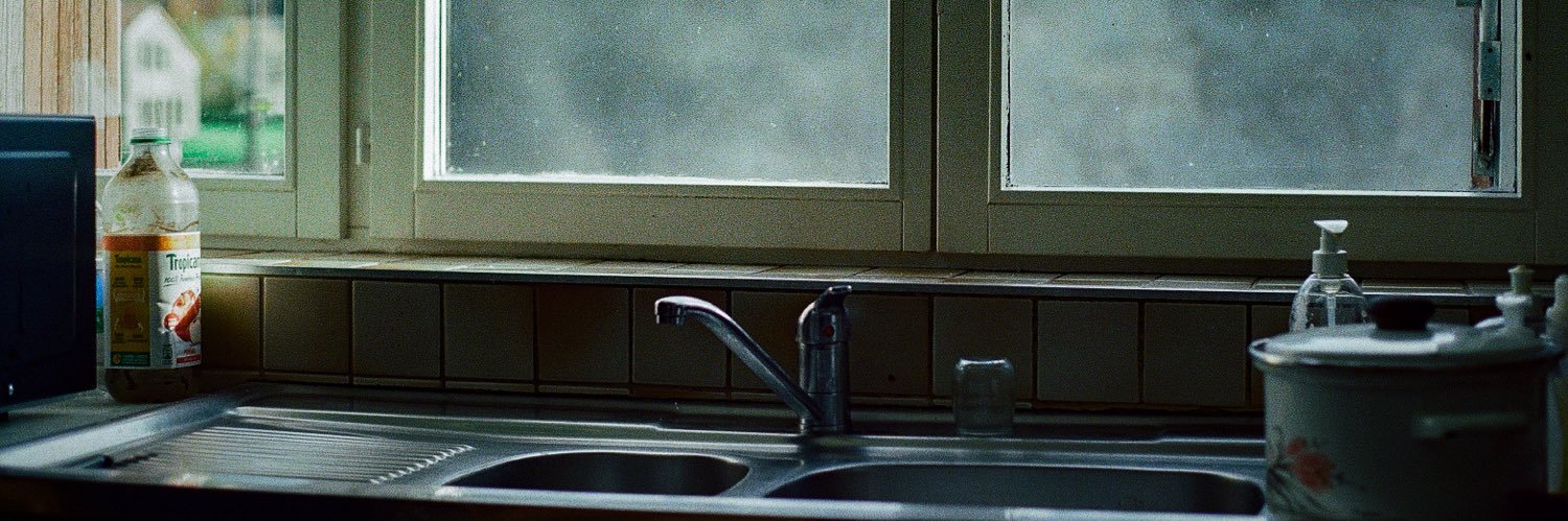 oiseaux stan account 🎥 banner