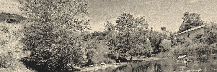 ִֶָ banner