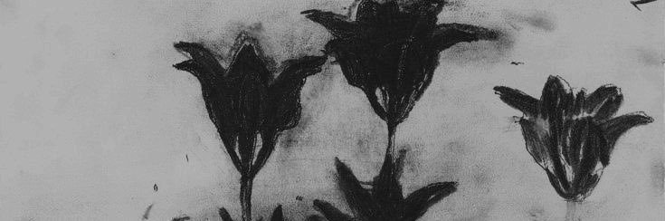 noah . banner