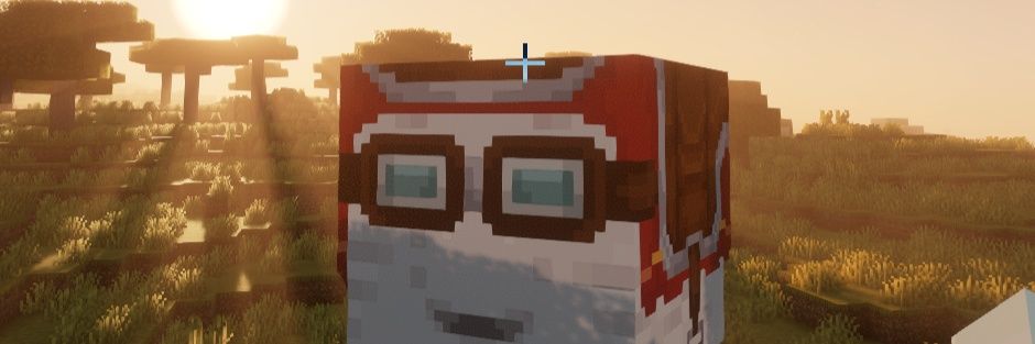 The Pog SMP banner
