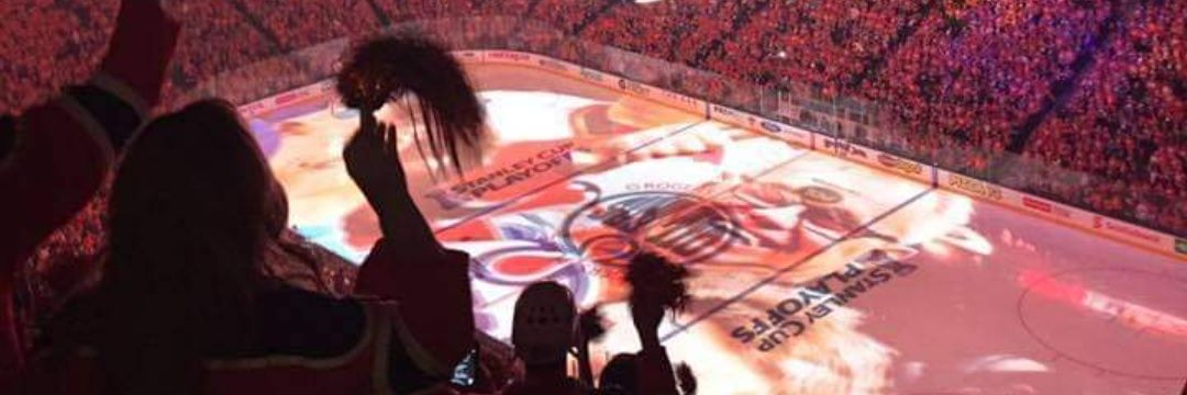 Shane's banner