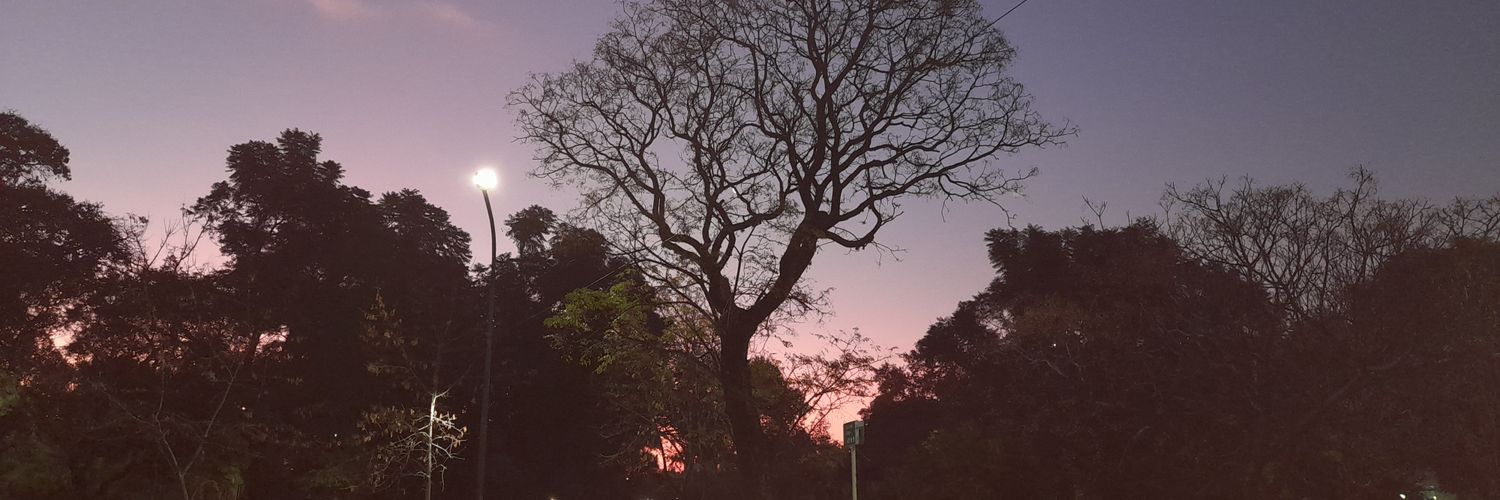 marisams's profile banner image