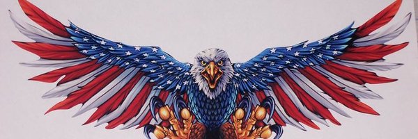 DHODonnell Profile Banner