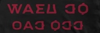 TiloTree's profile banner image