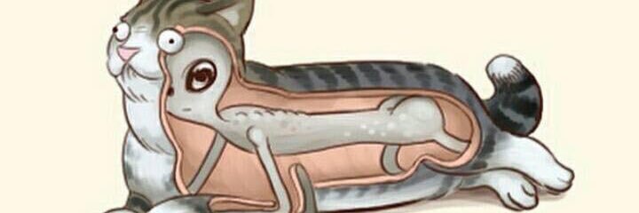 Ro banner