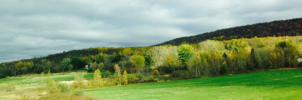 Bea_Be Profile Banner