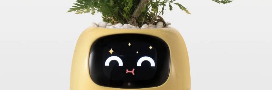 ايمن banner